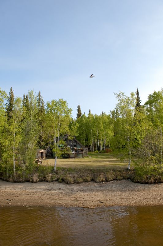 Easement Land Clearing in Katy, TX