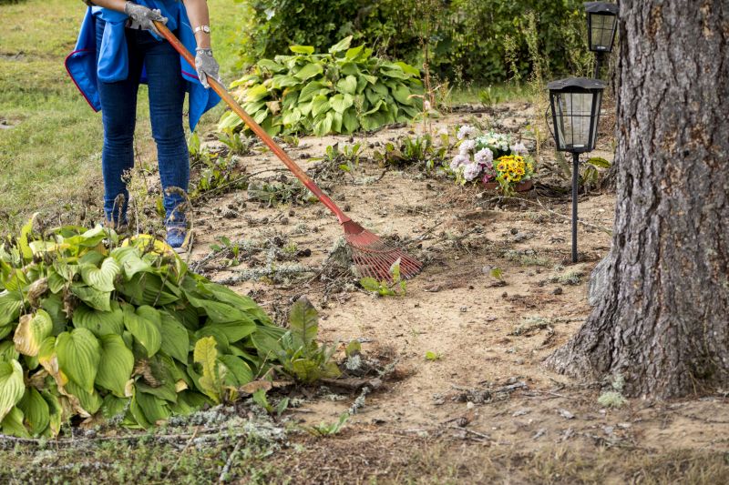 Farm Clearing in Atlanta, GA