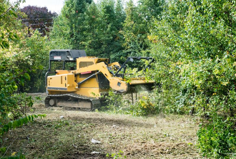 Farm Clearing in Marietta, GA
