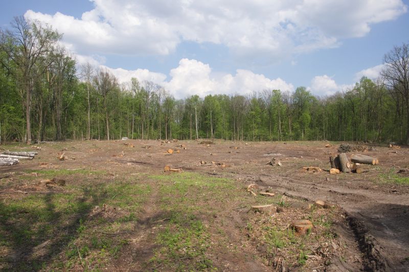 Forestry Clearing in Salt Lake City, UT